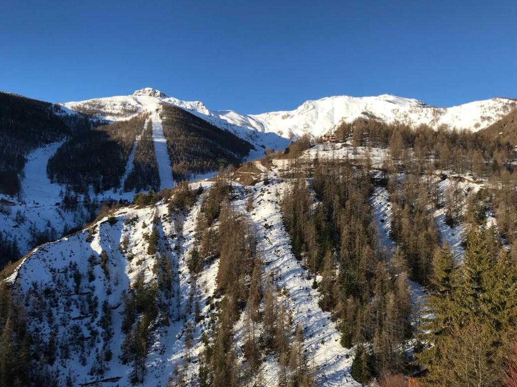 Magnifique 2 Pieces Proche Place D'Auron Eksteriør bilde
